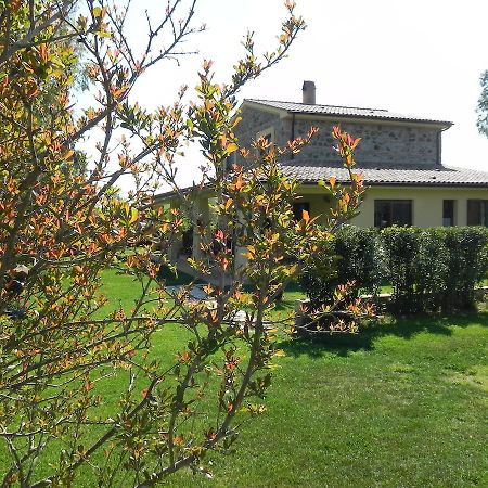B&B Monte Di Bu Bagno Roselle Bagian luar foto