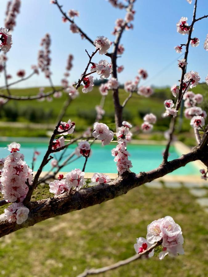 B&B Monte Di Bu Bagno Roselle Bagian luar foto