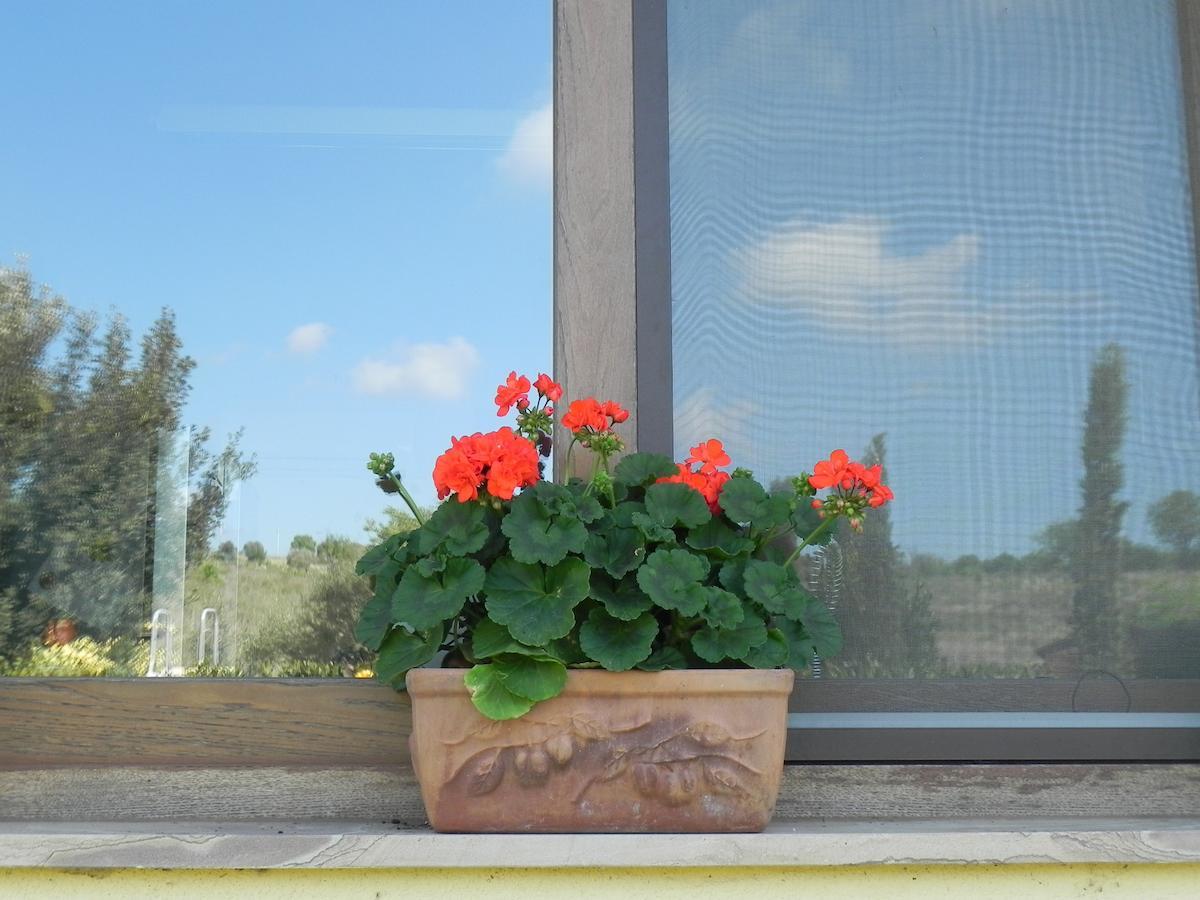 B&B Monte Di Bu Bagno Roselle Bagian luar foto