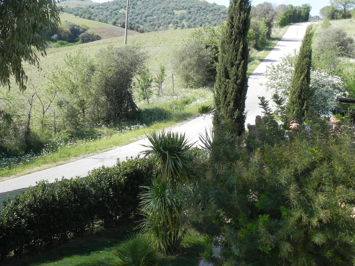 B&B Monte Di Bu Bagno Roselle Bagian luar foto