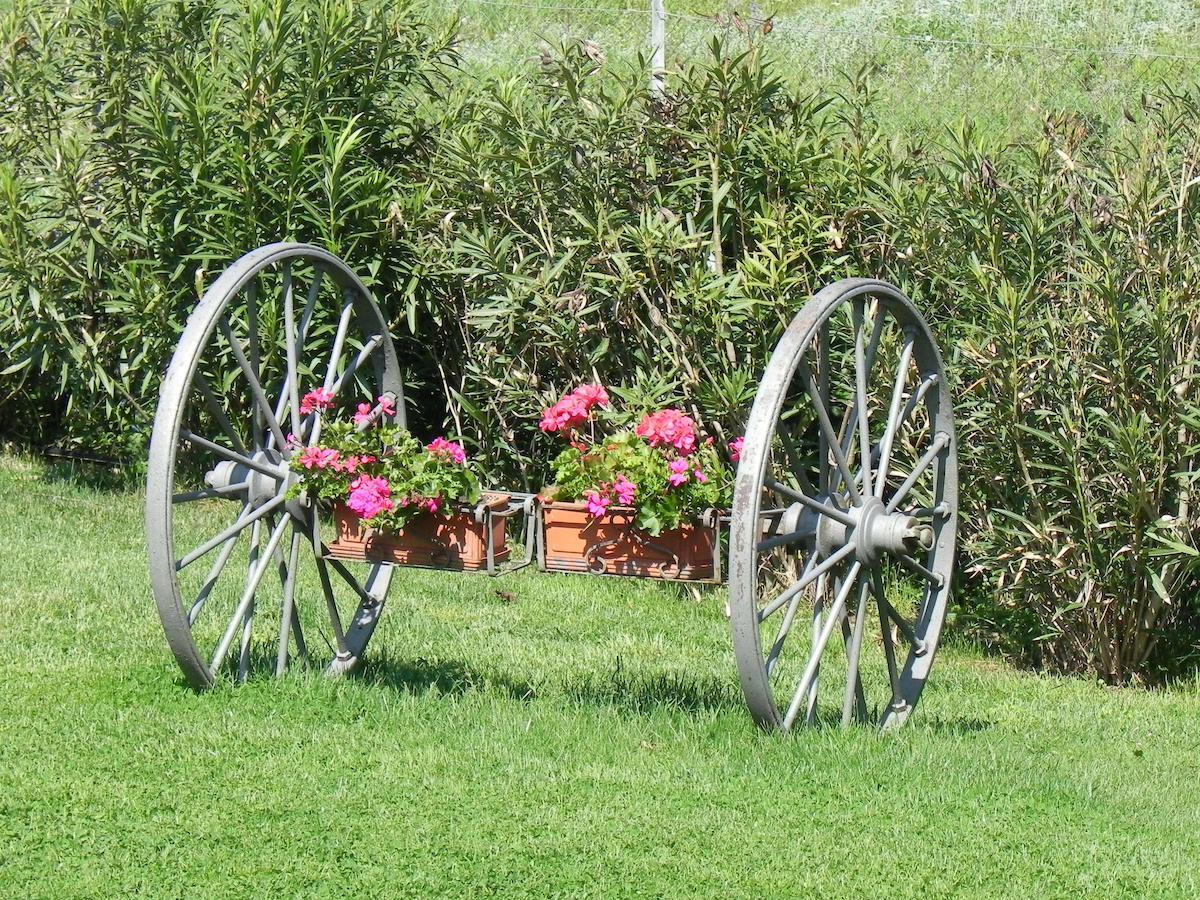 B&B Monte Di Bu Bagno Roselle Bagian luar foto