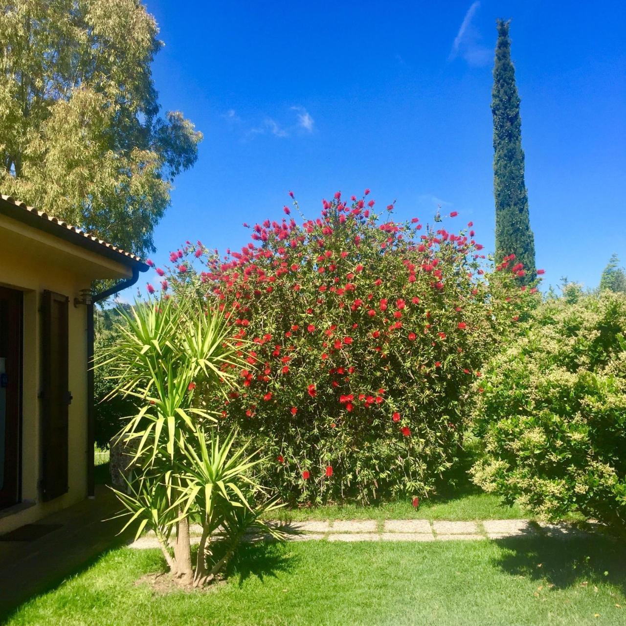 B&B Monte Di Bu Bagno Roselle Bagian luar foto