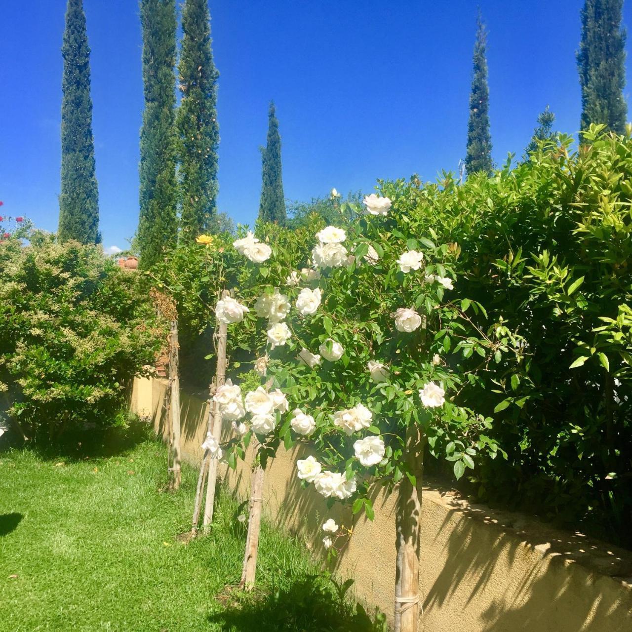 B&B Monte Di Bu Bagno Roselle Bagian luar foto