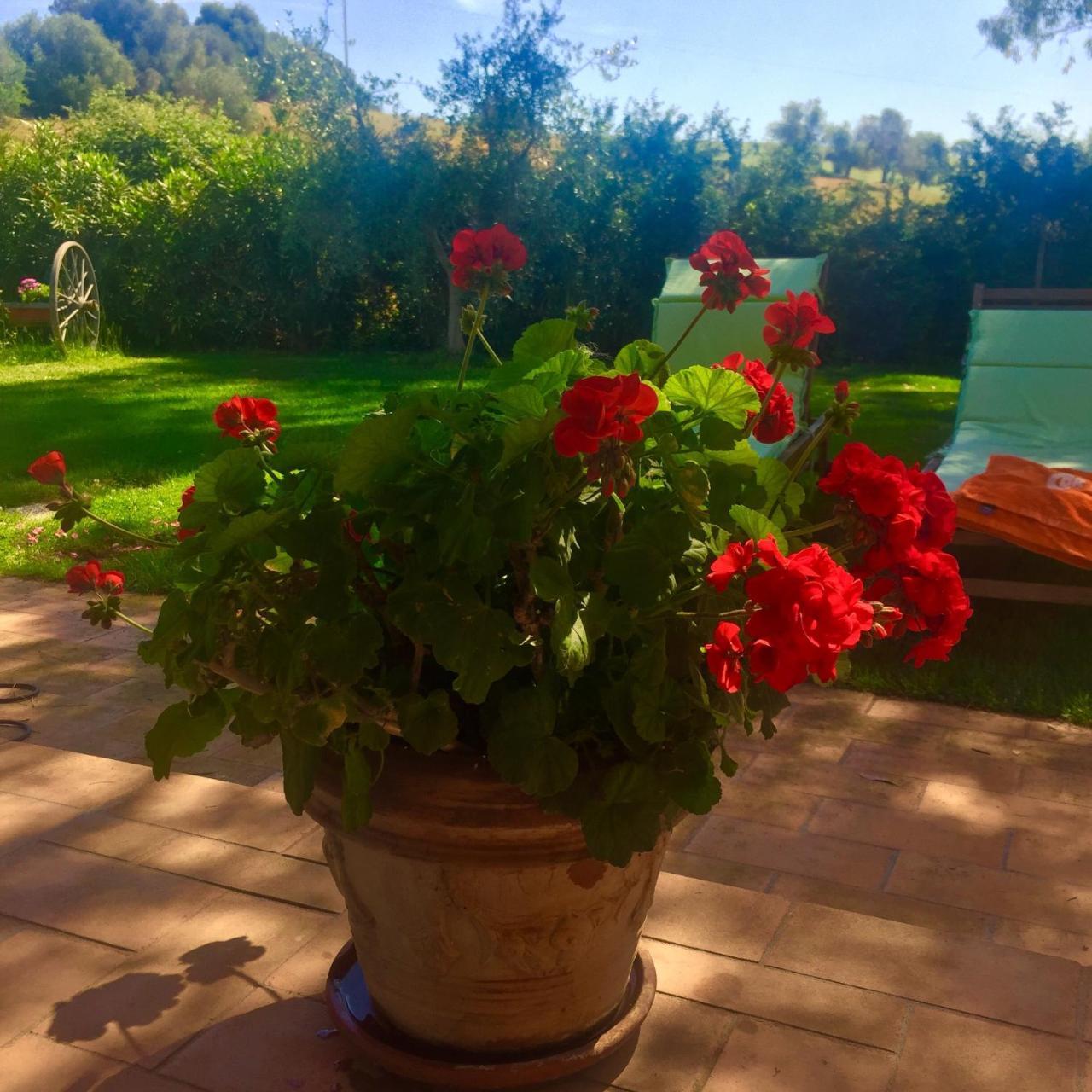B&B Monte Di Bu Bagno Roselle Bagian luar foto