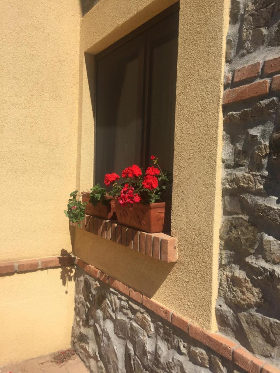 B&B Monte Di Bu Bagno Roselle Bagian luar foto