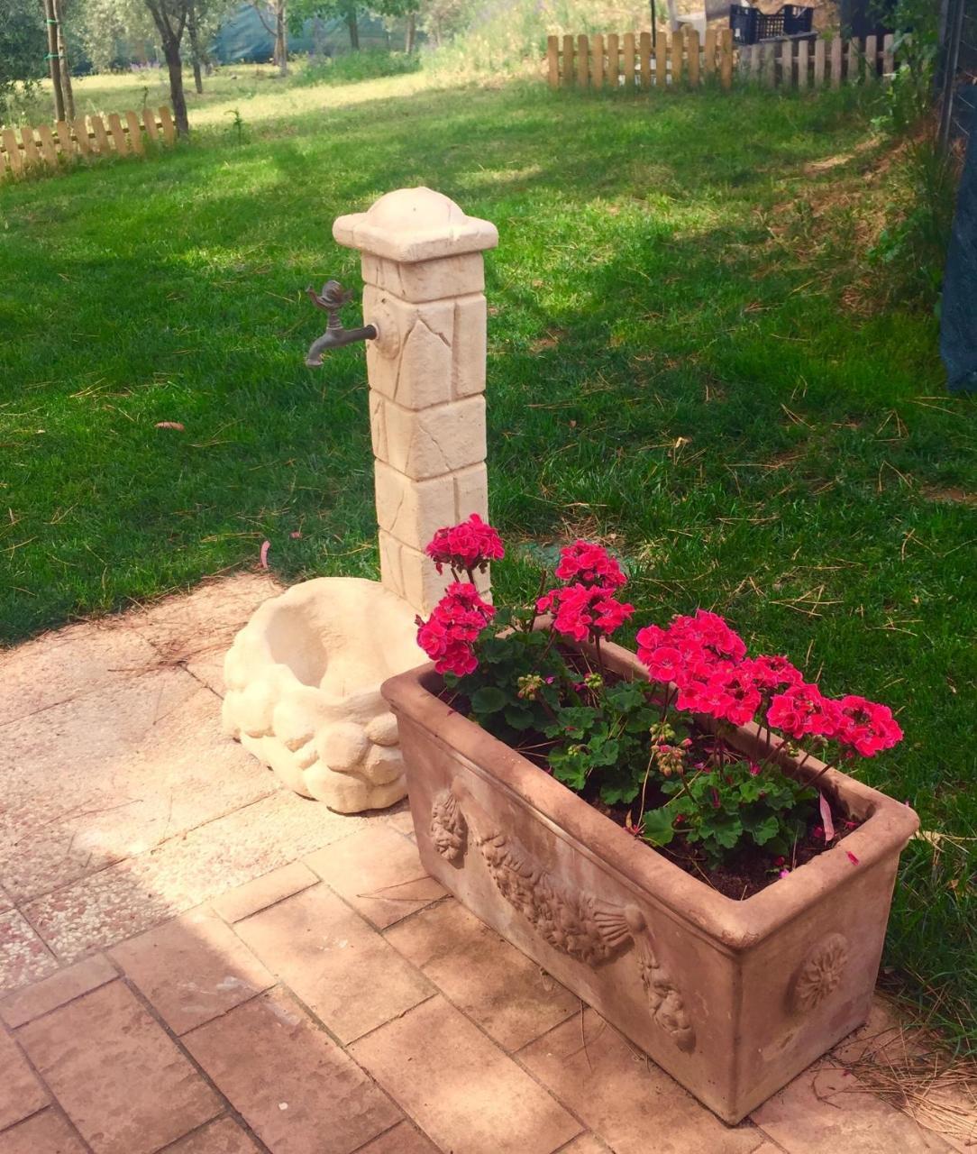 B&B Monte Di Bu Bagno Roselle Bagian luar foto