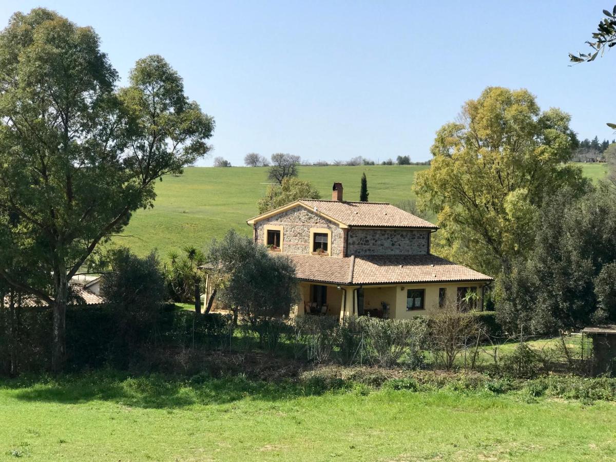 B&B Monte Di Bu Bagno Roselle Bagian luar foto